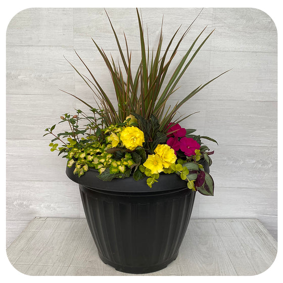 Shade arrangement Mega Yellow Mix
