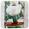 Tulip 'Mondial'