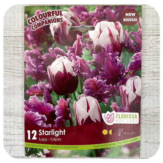 Tulip Mix 'Starlight'