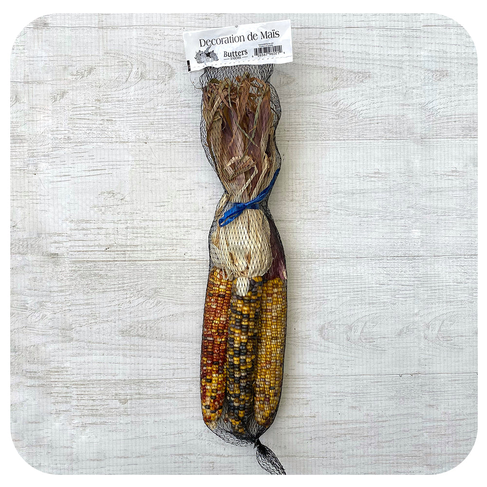 Ornamental Corn Bunch