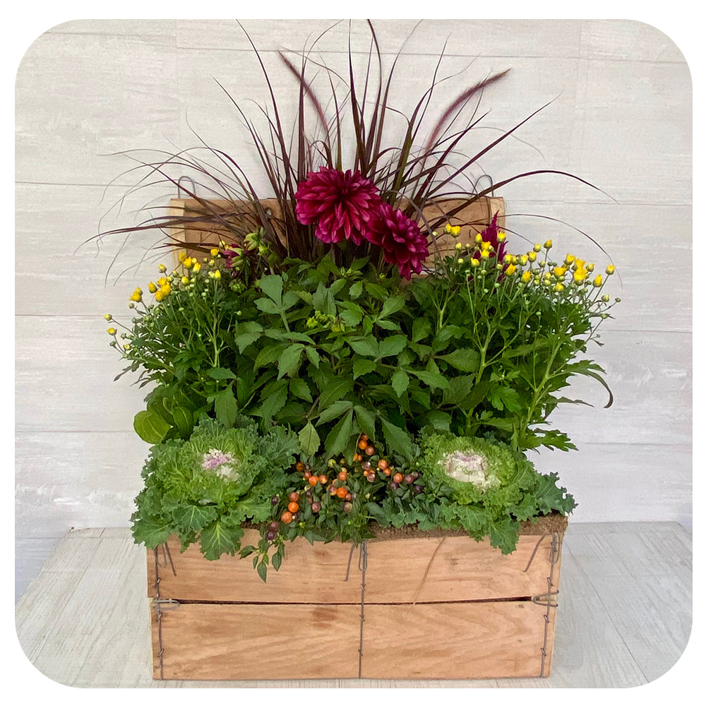 Autumn Wooden Crate Arrangement