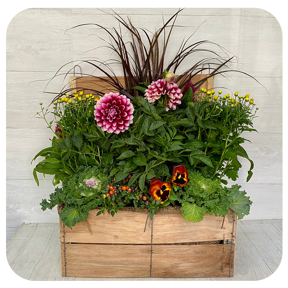 Autumn Wooden Crate Arrangement