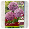 Allium 'Party Balloons'
