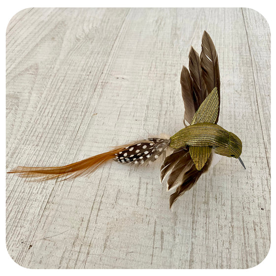 Green and Brown Hummingbird Clip