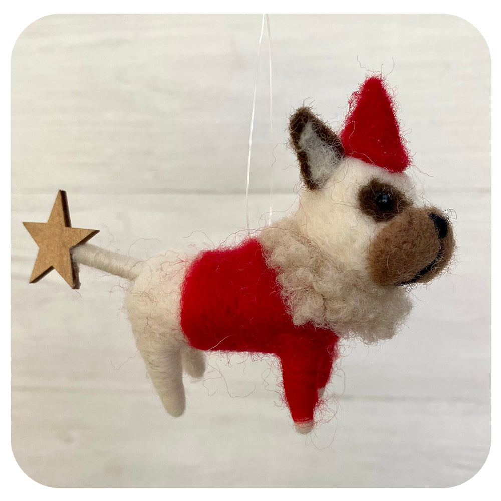 Dog with Star Tail
