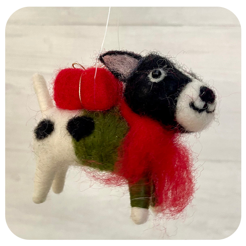 Black and White Dog with Present