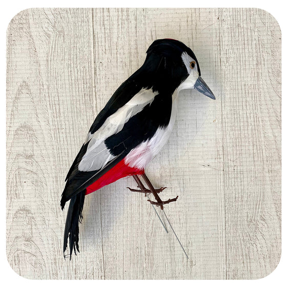 Large Standing Woodpecker