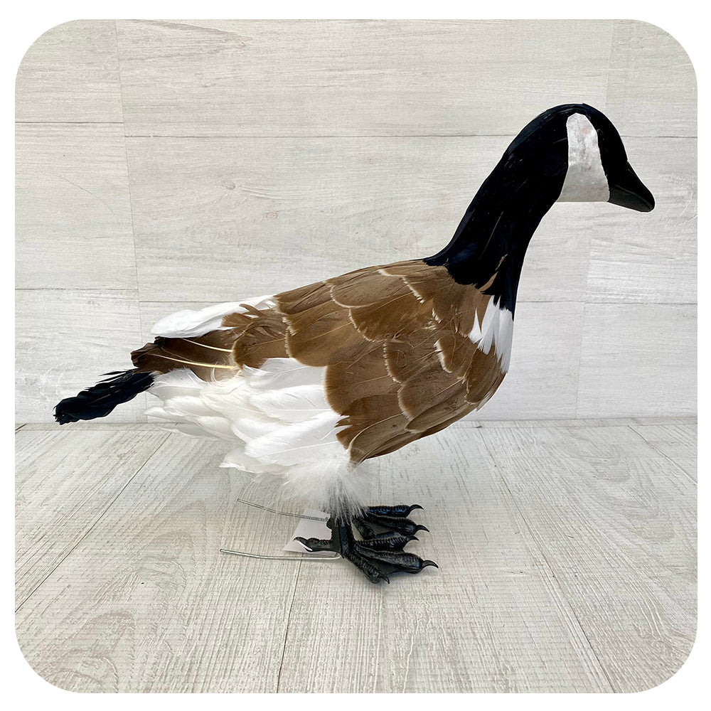 Large Standing Canada Goose