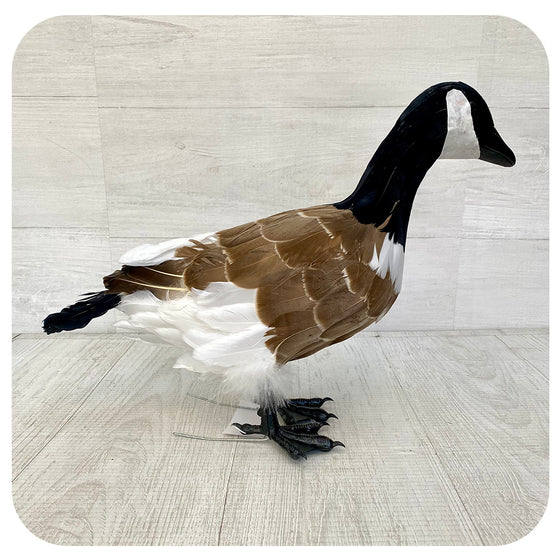 Large Standing Canada Goose