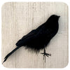 Standing Crow
