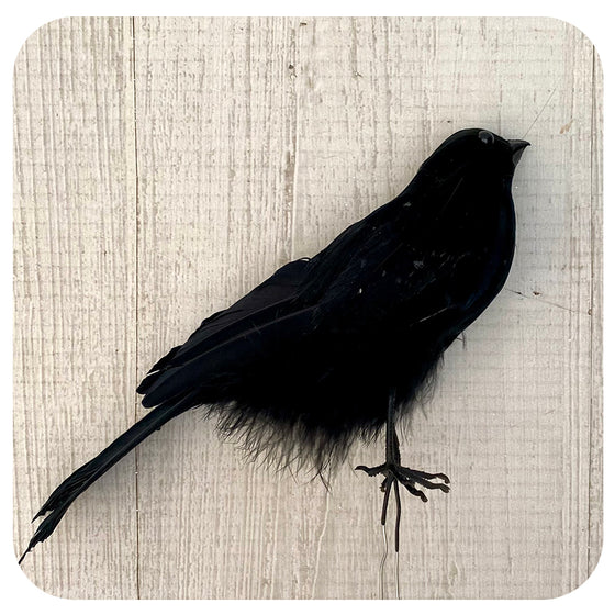 Standing Crow