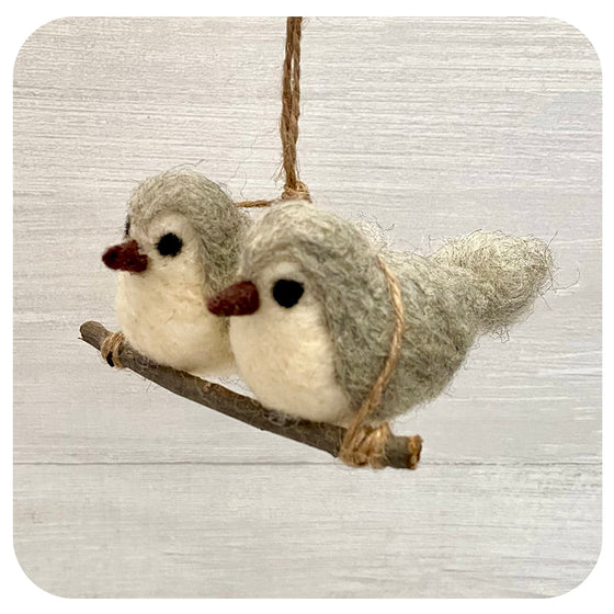 A Pair of Birds on a Branch