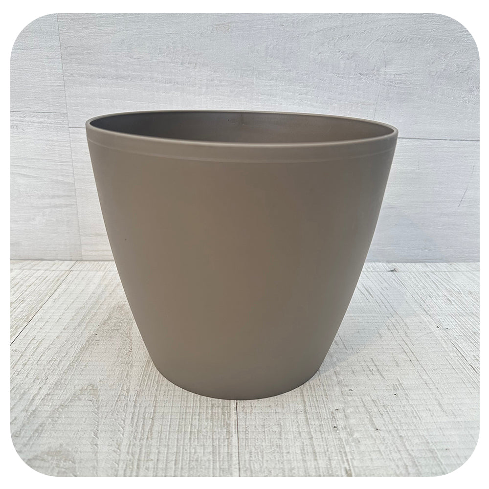 Eva Planter