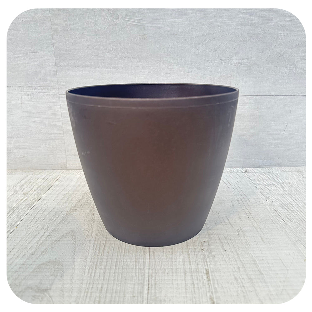 Eva Planter