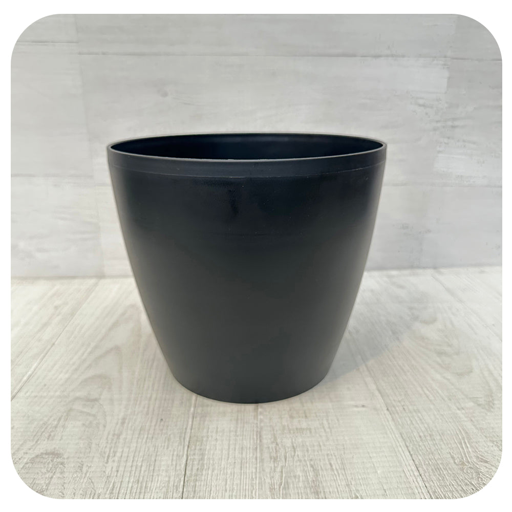 Eva Planter