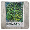 Serrano Huasteca Hot Pepper Seeds (Organic)