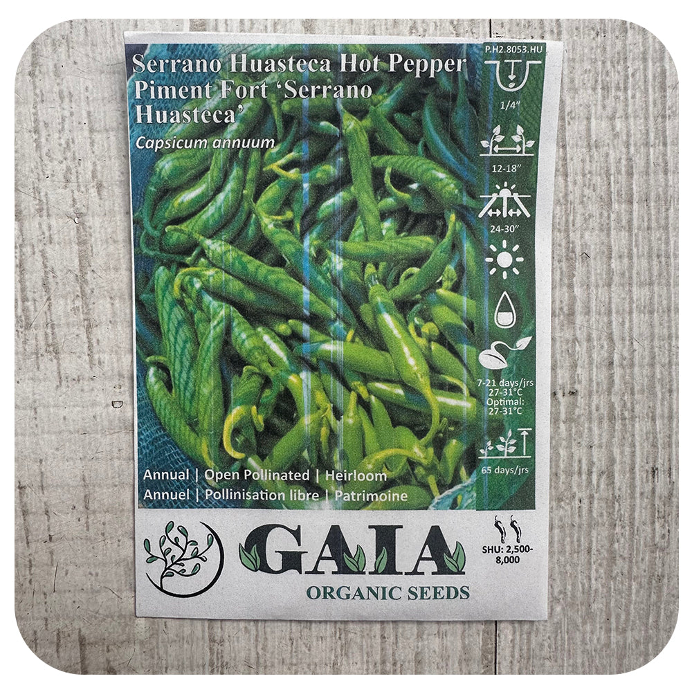 Serrano Huasteca Hot Pepper Seeds (Organic)