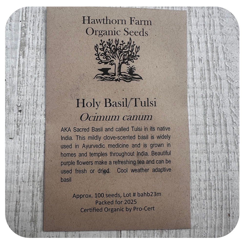 Sacred Basil/ Tulsi Seeds (Hawthorne Farm Organic Seeds)