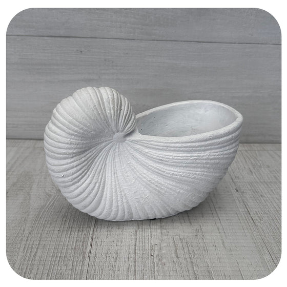 White Seashell Pot