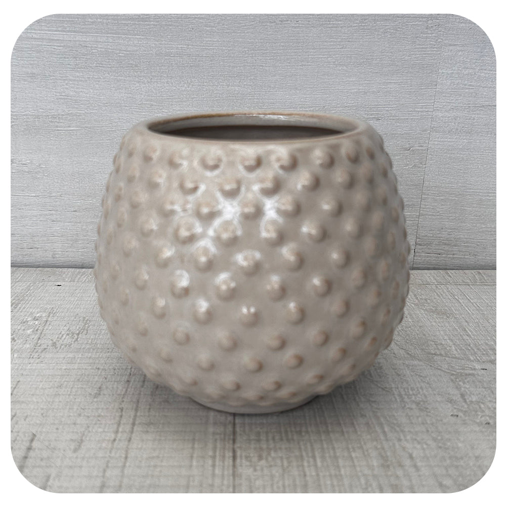 Glazed Textured Dot Pot
