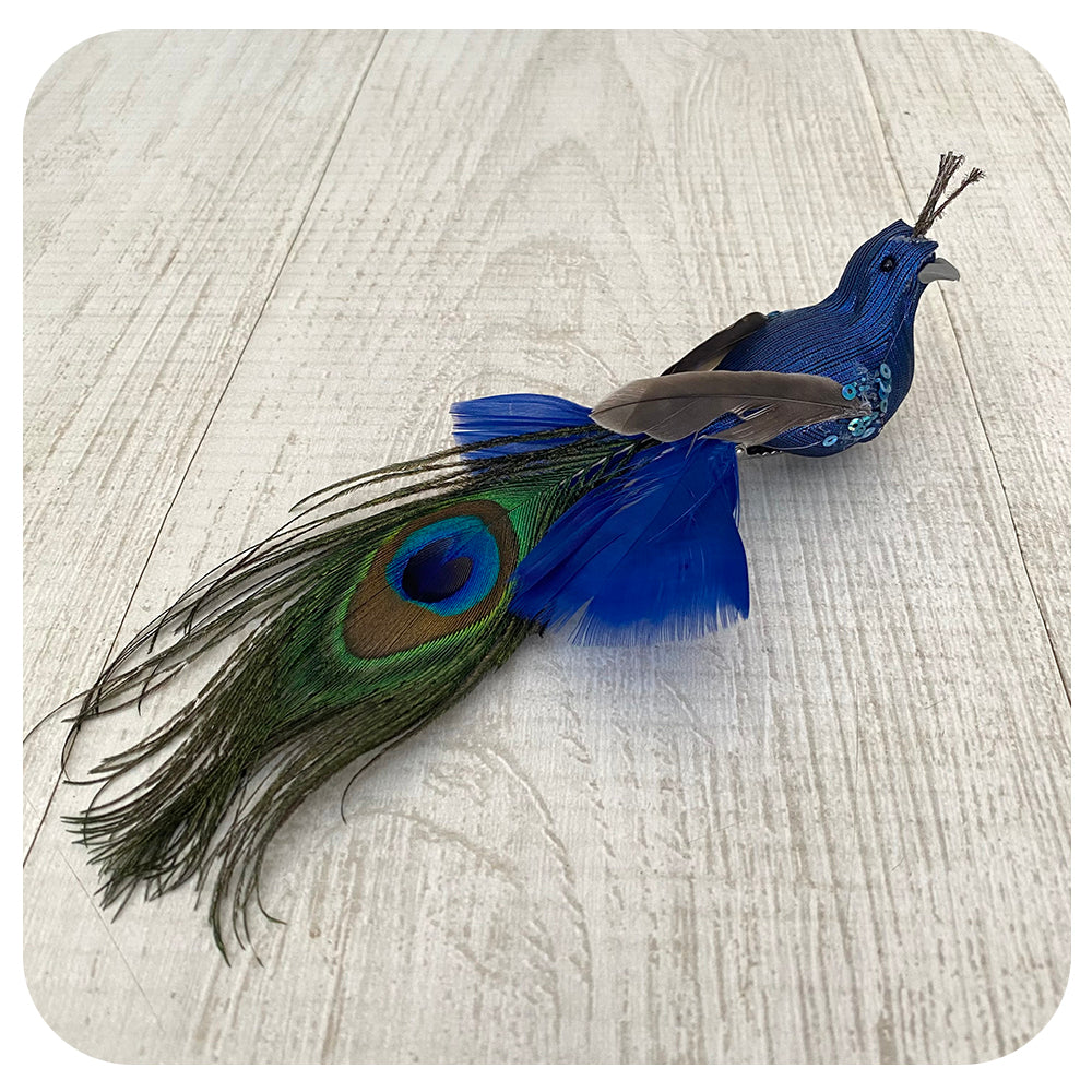 Peacock Clip