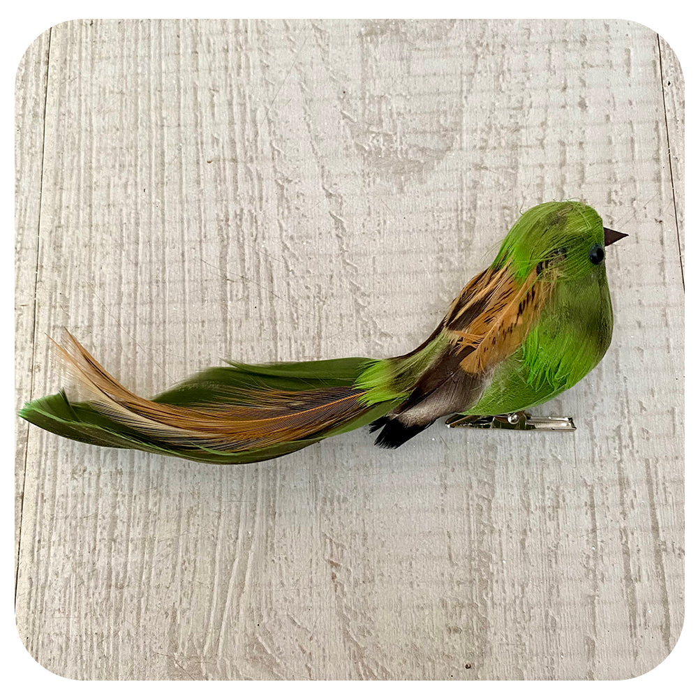 Olive Green and Brown Bird Clip