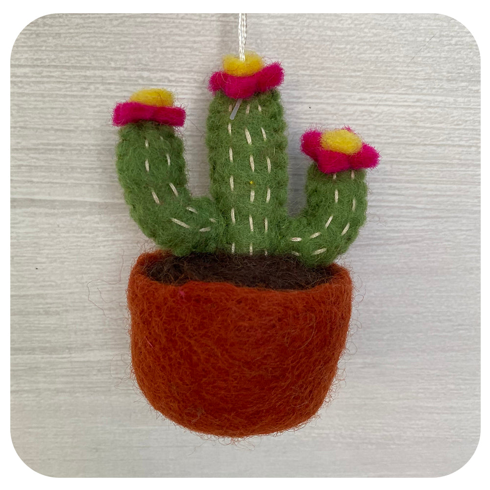Fairtrade Potted Cactus Ornament