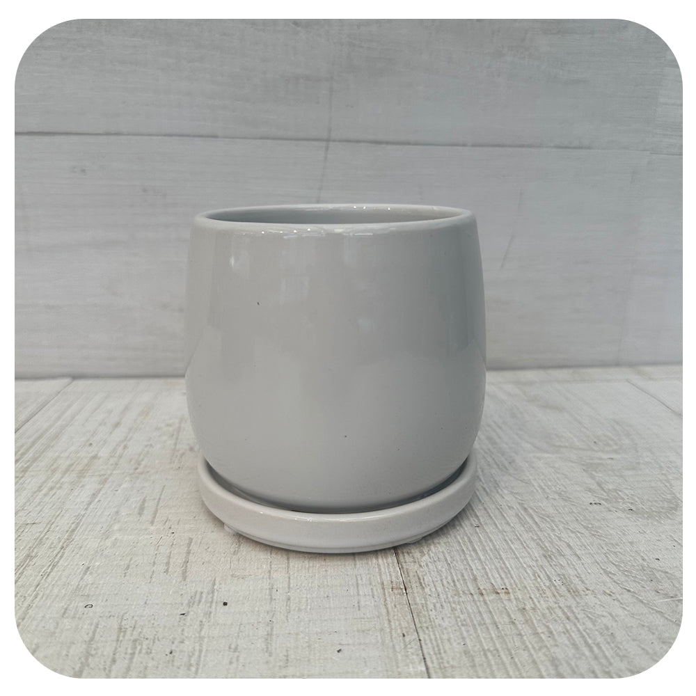 Earth Tones Pot w. Saucer