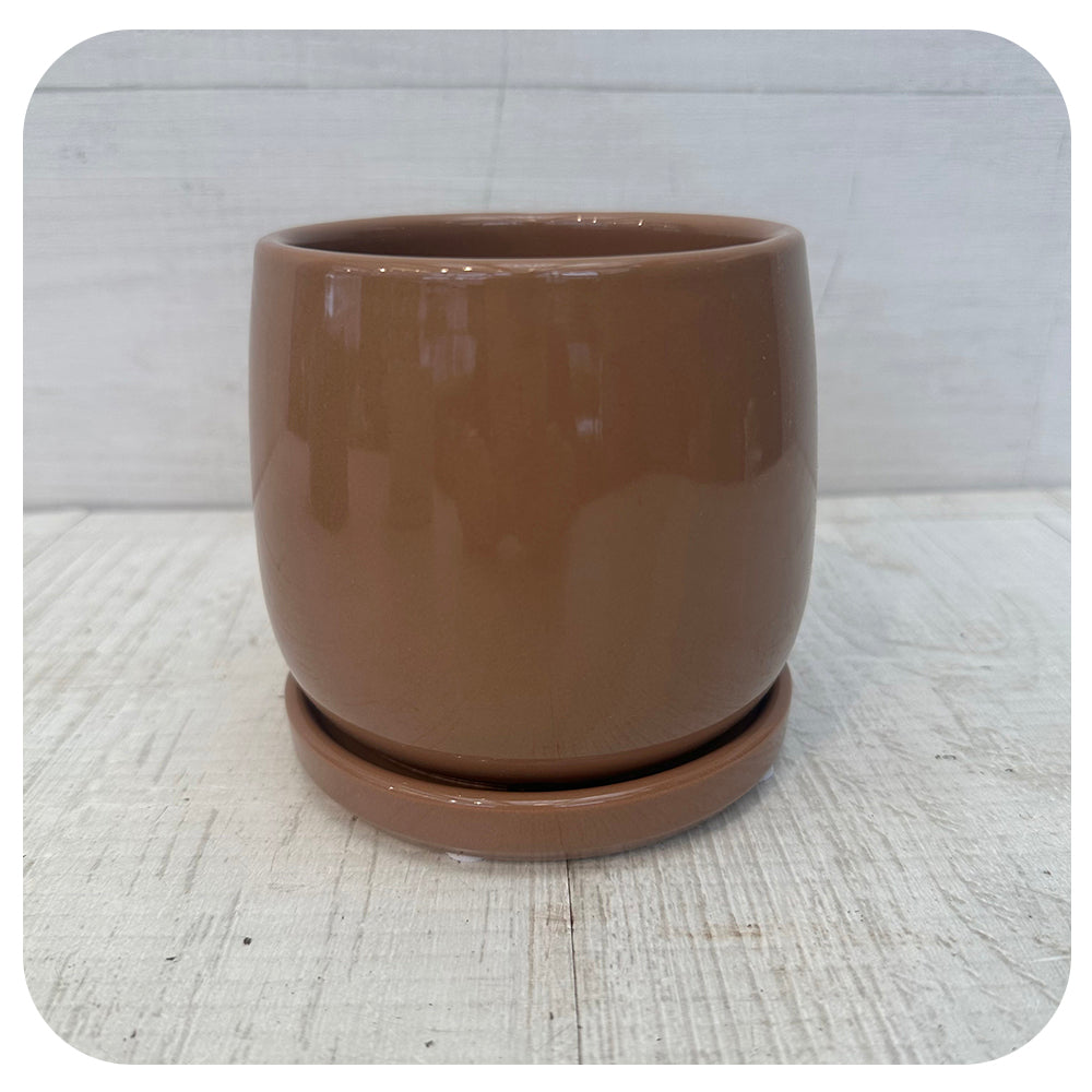 Earth Tones Pot w. Saucer