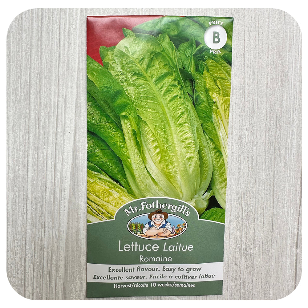 Romaine Lettuce Seeds (Mr. Fothergill's)