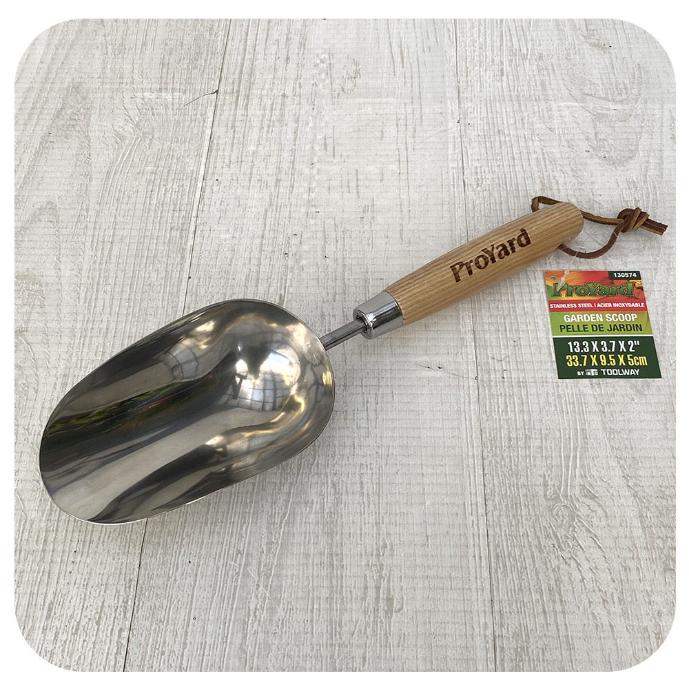 Proyard Stainless Steel Scoop