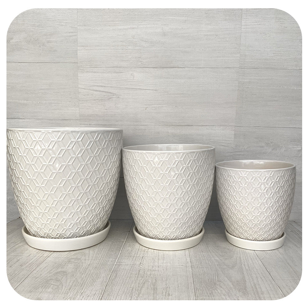 Geometric Textured Pot w. Saucer