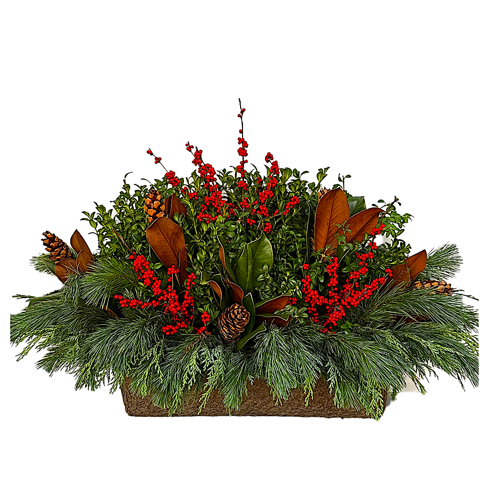 Window Box - Jen's Ilex