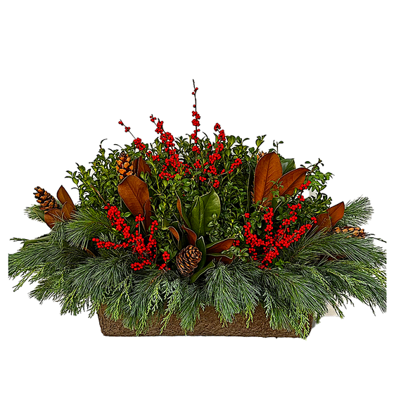 Window Box - Jen's Ilex