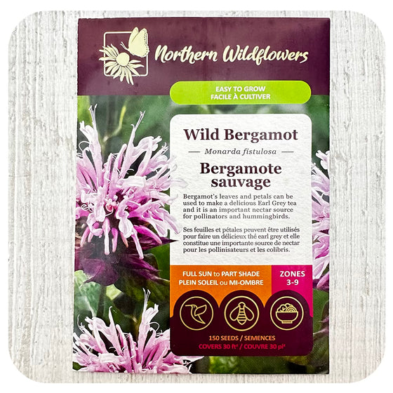 Wild Bergamot Seeds (non-GMO/Chemical Free)