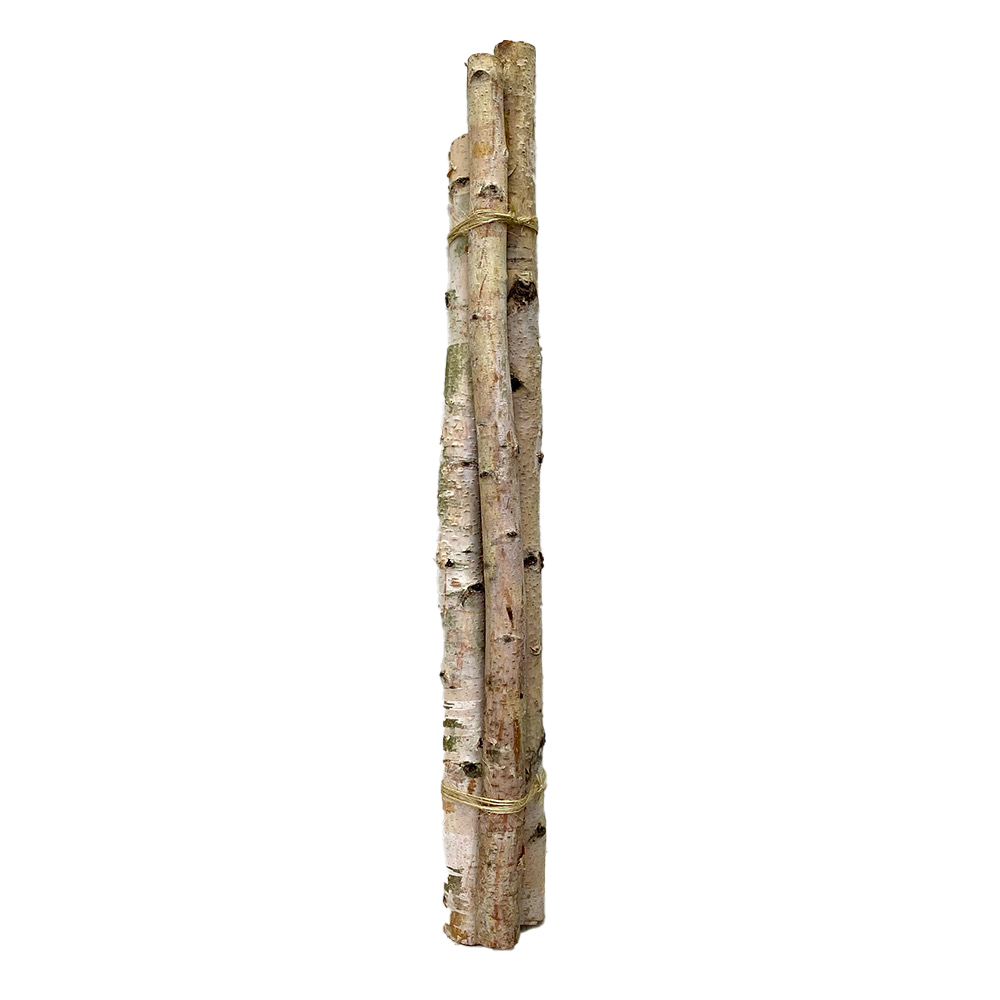 Birch Poles