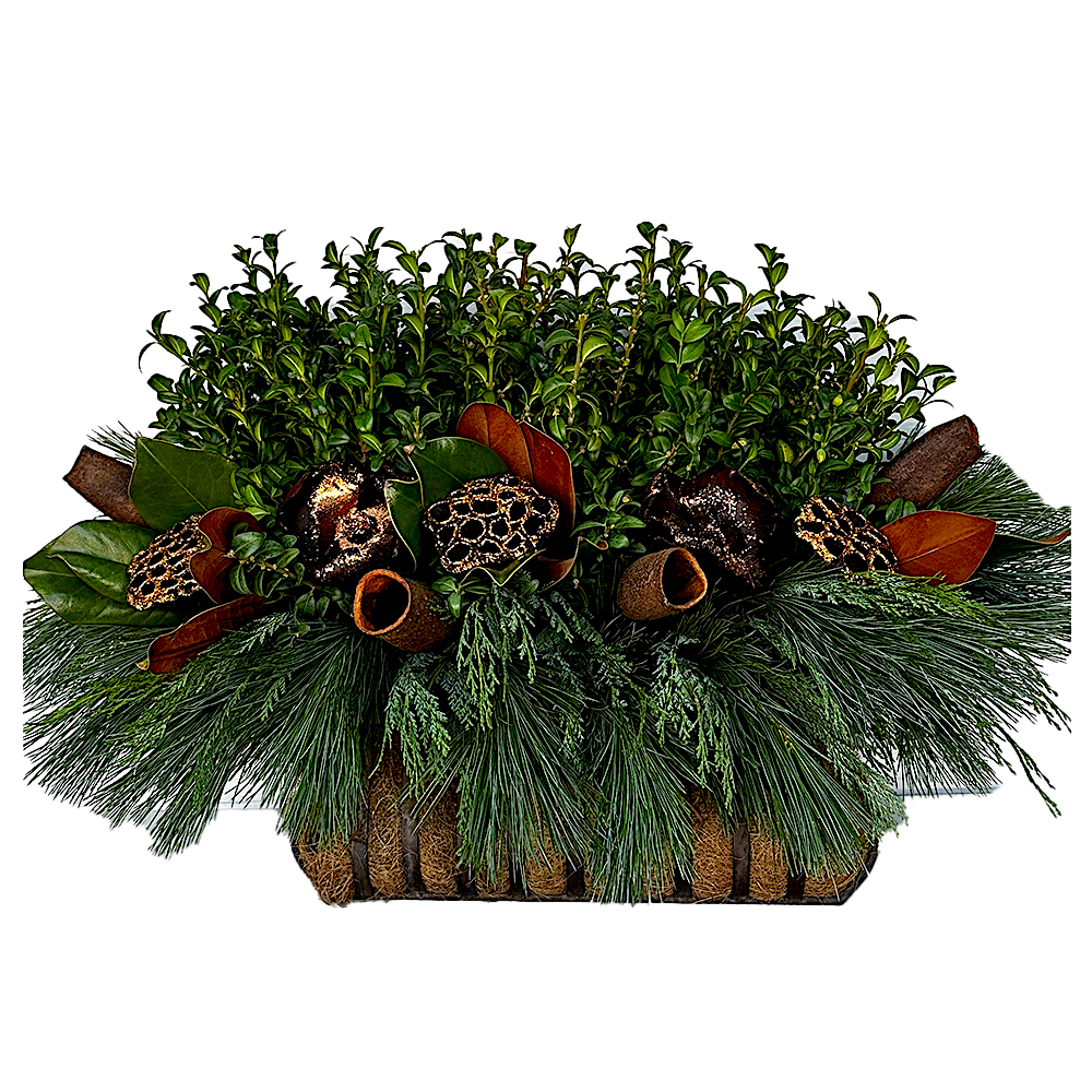 Window Box - Bronze Lotus