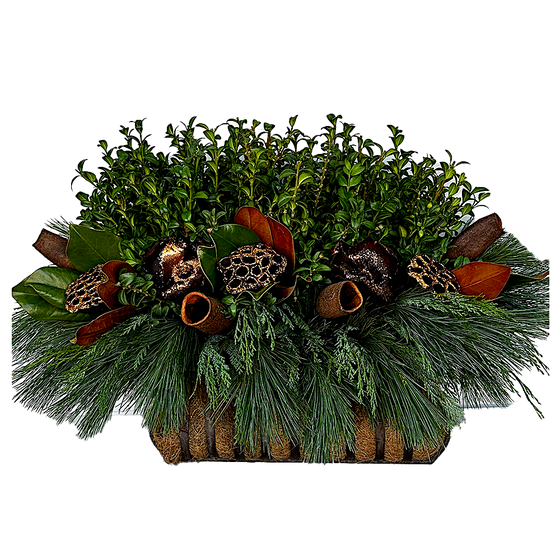 Window Box - Bronze Lotus