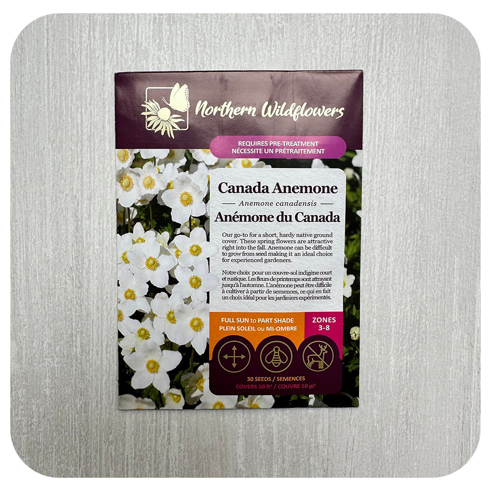 Canada Anemone Seeds (non-GMO/Chemical Free)