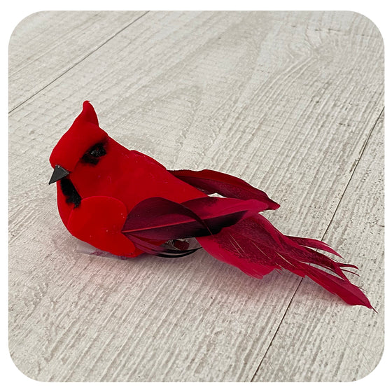 Velvet Cardinal with Dark Feathers Clip