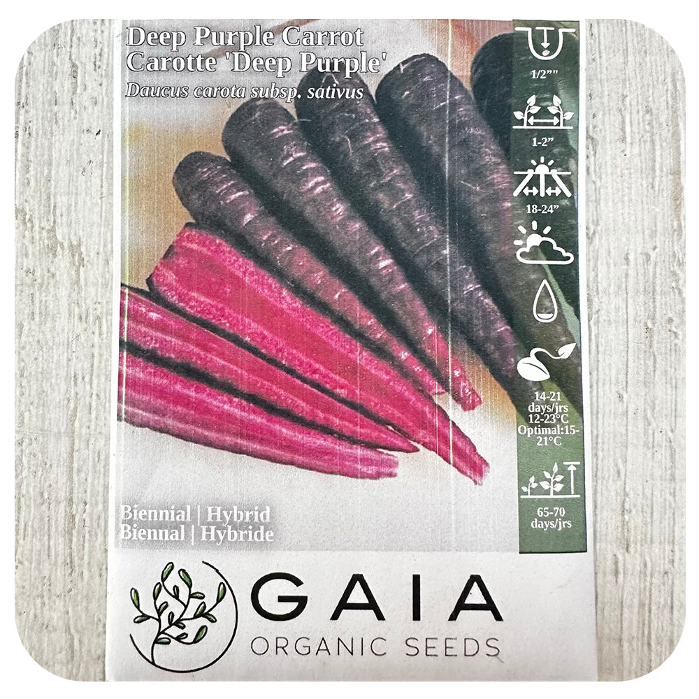 Deep Purple Carrot Seeds (Organic)