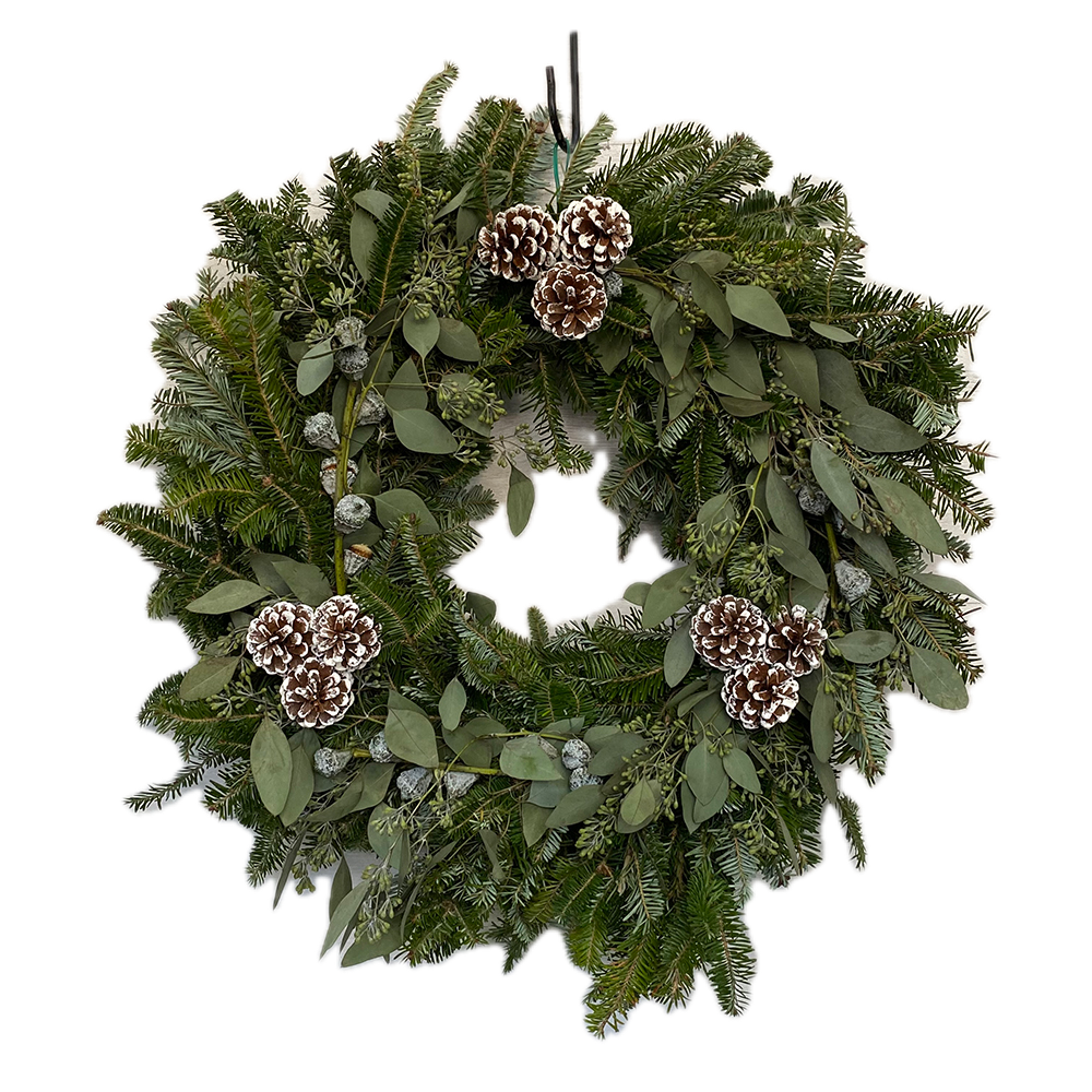 Fraser Fir,  Eucalyptus and Cone Wreath