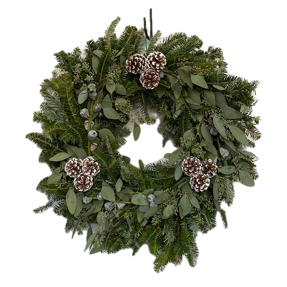Fraser Fir,  Eucalyptus and Cone Wreath