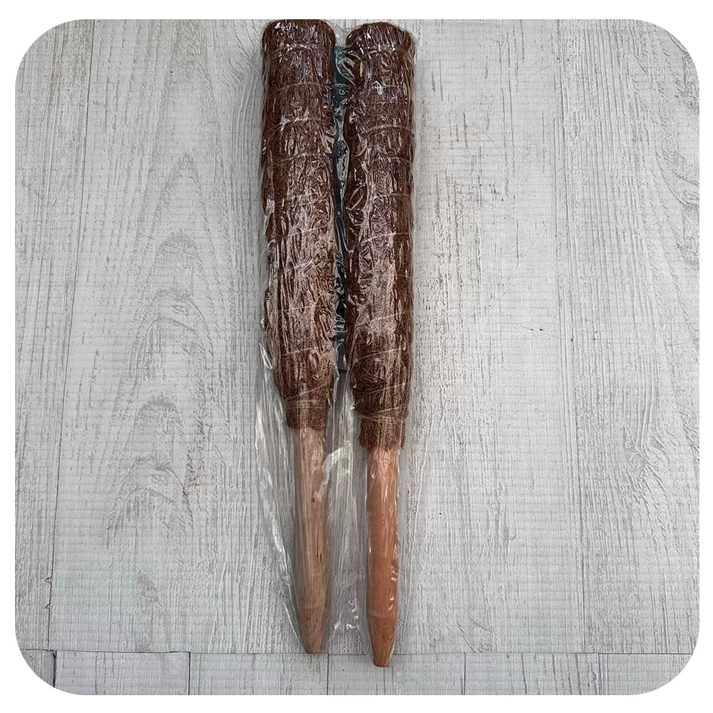 Coco Fibre Plant Support Poles - Pack of Two