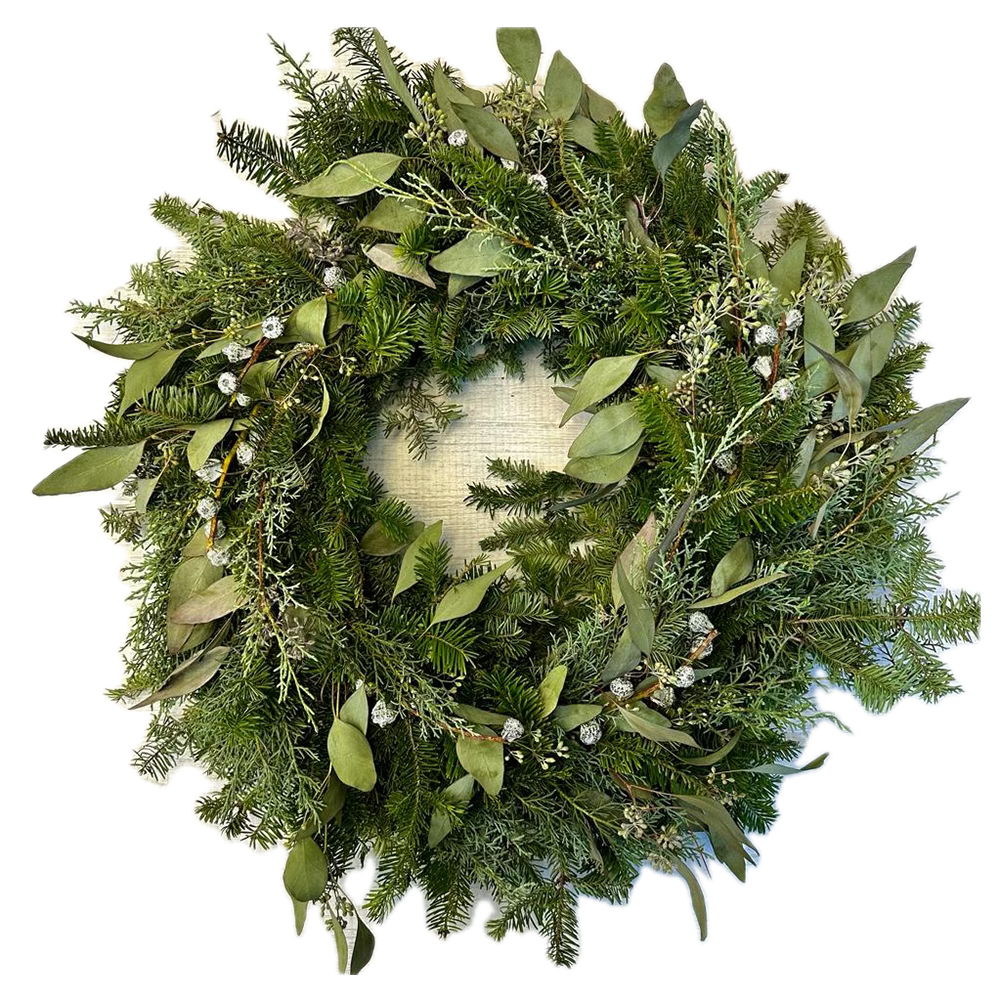 Fraser Fir,  Eucalyptus and Sapphire Wreath