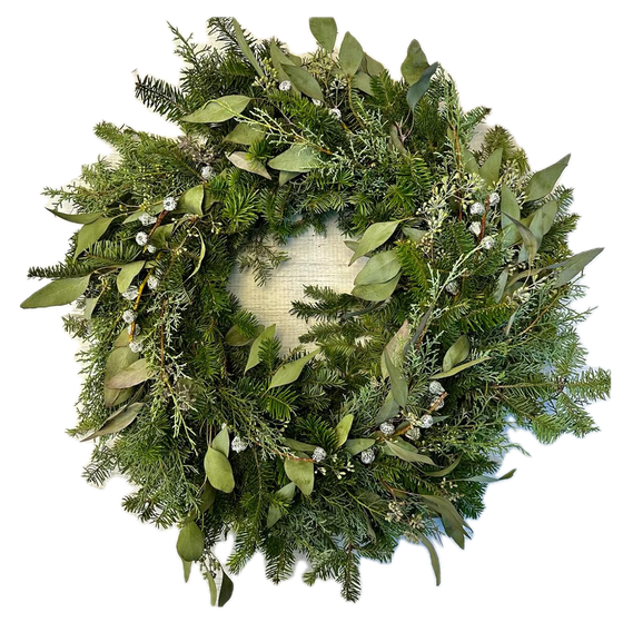 Fraser Fir,  Eucalyptus and Sapphire Wreath