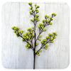 Berry Stem - Bright Green