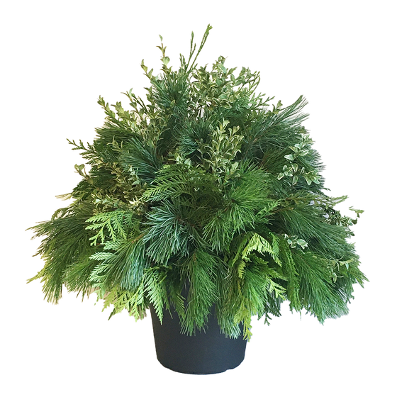 Urn - Green Mix Oregonia