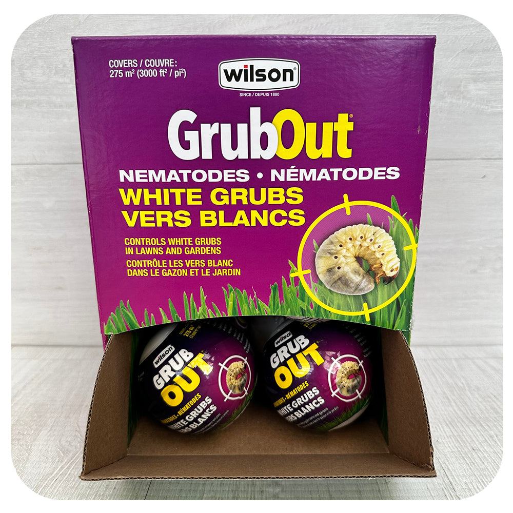 Nematodes GRUBOUT Grub Busters