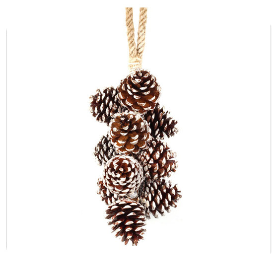Pinecone Cluster
